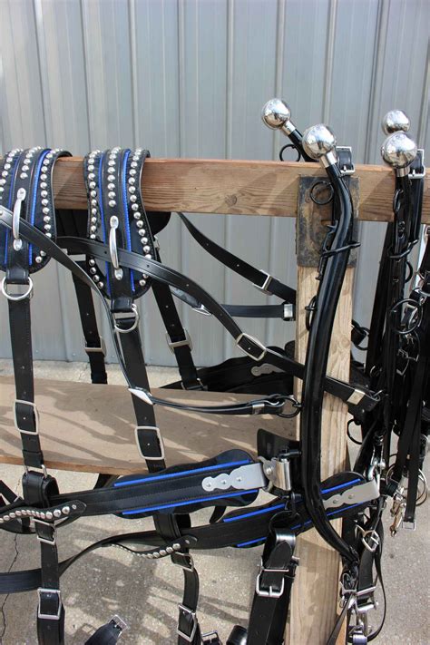 Draft Horse Biothane Team Show Harness Deco Frontier Equestriandraft