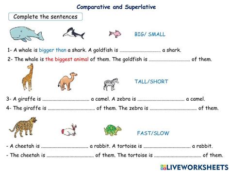 Comparative Superlative Animals Worksheet Live Worksheets