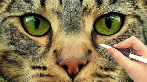 Realistic Painting Cat Ipad Art Procreate Youtube