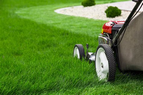 3 Tips To A Green Lawn This Spring Tomlinson Bomberger