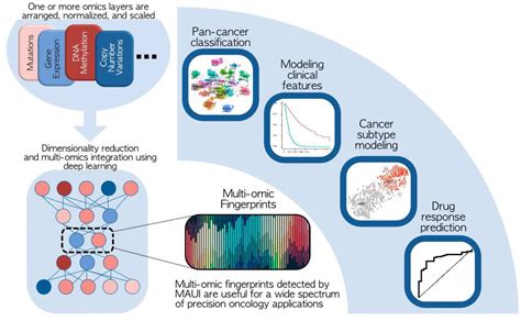 Multi Omics And Deep Learning Provide A Multifaceted View Of Cancer