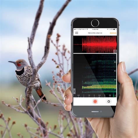 Our system stores bird song id apk older versions, trial. Emerging Gear: Outdoor Products This Week | 2017-02-16 ...