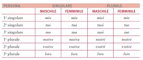 Possessivi Aggettivi E Pronomi In La Grammatica Italiana