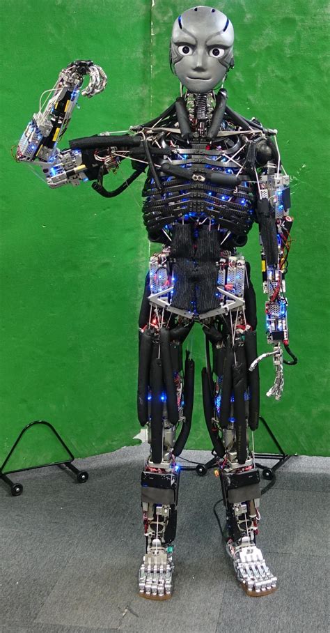 Japan Created The Most Advanced Humanoid Robot