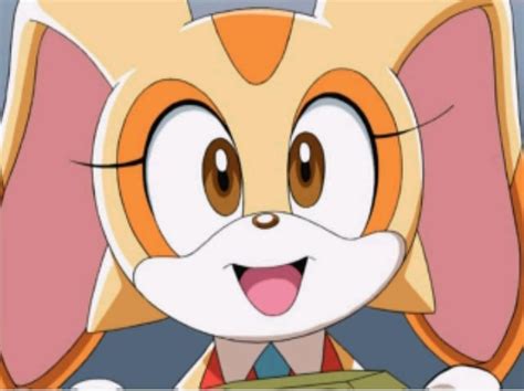 Cream the rabbit & cheese japanese these two she nice tell her friends what on going she eat like donuts but she have home him to buy she from ms. How Would You Rate Cream The Rabbit? | Sonic the Hedgehog ...