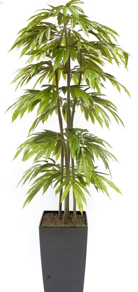 Tall, these beautifully crafted wood and bamboo fence sections are designed for comparatively small applications, although they are not limited to them. Evergreen Trees and Shrubs - Handmade artificial trees ...
