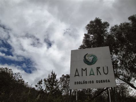 Peregrination Bioparque Amaru Zoo In Cuenca