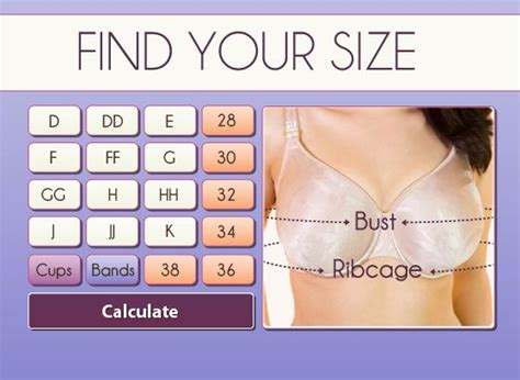 Find Your Size With Our Bra Size Calculator Bra Size Calculator