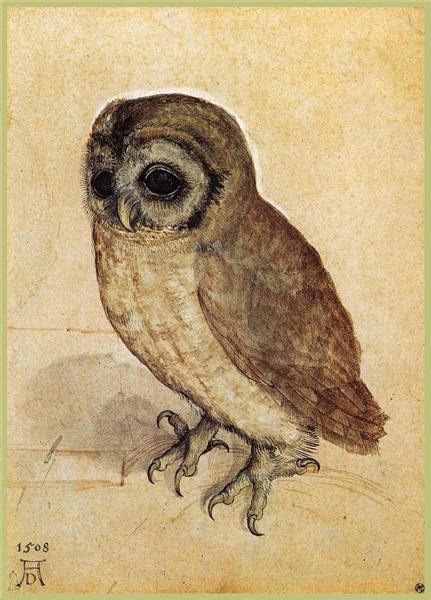 The Little Owl 1506 Albrecht Durer