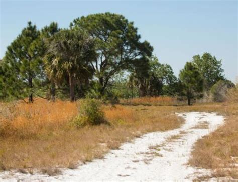 Lake Talquin State Park In Tallahassee Fl Americas State Parks