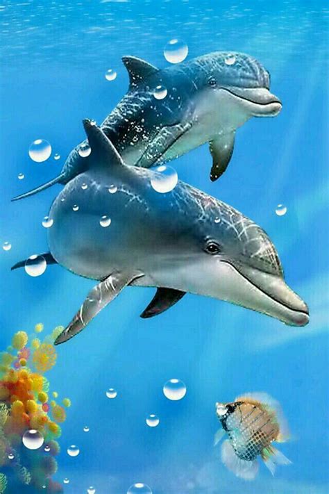 Happy Dolphins Underwater Animals Beautiful Sea Creatures Dolphins
