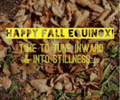 23 Autumn Equinox Memes Youll Fall In Love With Fall Memes Memes