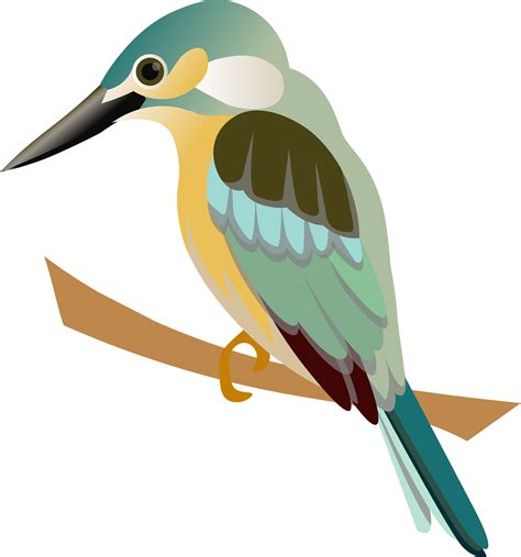 Kingfisher Png Images Transparent Free Download Pngmart