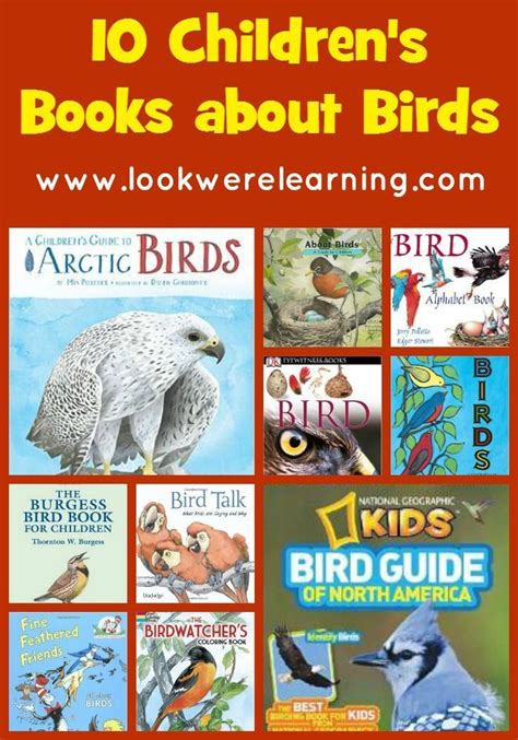 20 Lovely Childrens Books About Birds Look Were Learning