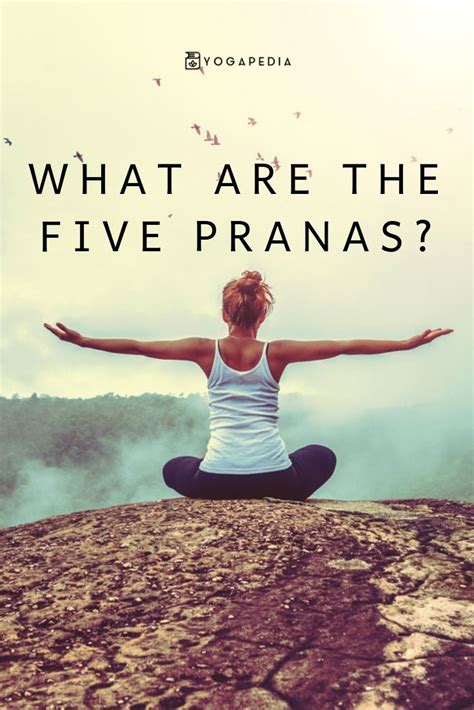 What Are The Five Pranas Prana Yoga Yoga Mindfulness Teaching Yoga