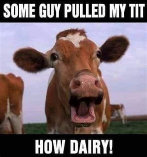 How Dairy Rfacebookmemes