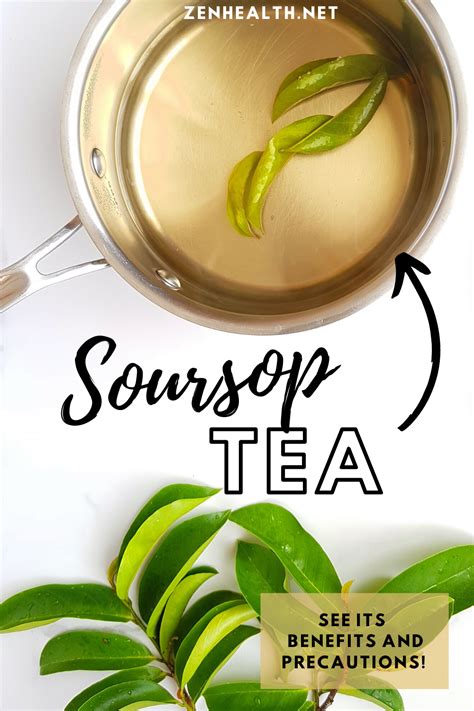 Soursop Tea Recipe And Its Proven Benefits No False Claims