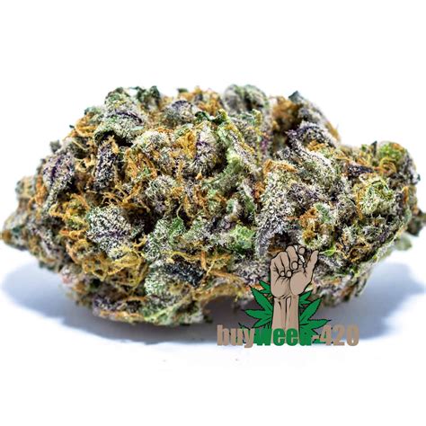 Buy Grand Daddy Purple Online Weed Dispensary Shoping World Wide