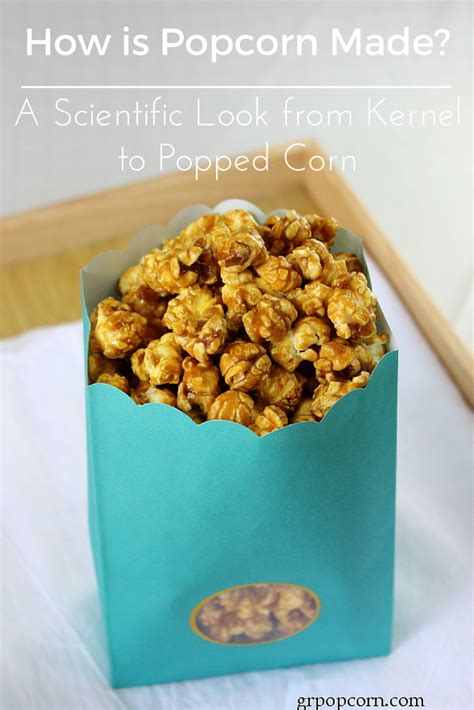 How Is Popcorn Made A Scientific Look From Kernel To Popped Corn