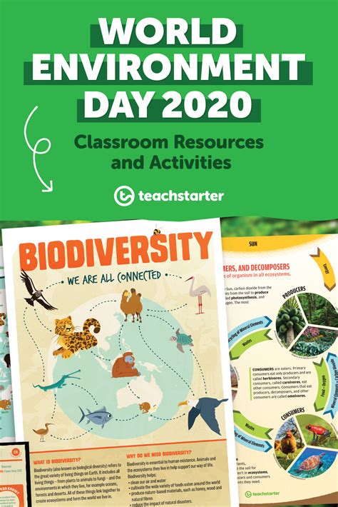 Human Rights For Children, We Are All Connected, World Environment Day