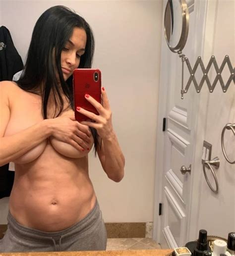 Nikki Bella Nude Selfie During Pregnancy 4 Hot Selfies The Fappening