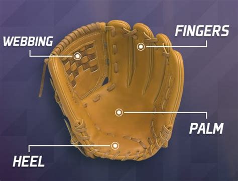 How To Measure A Baseball Glove Length Baseball Softball Glove Sizing