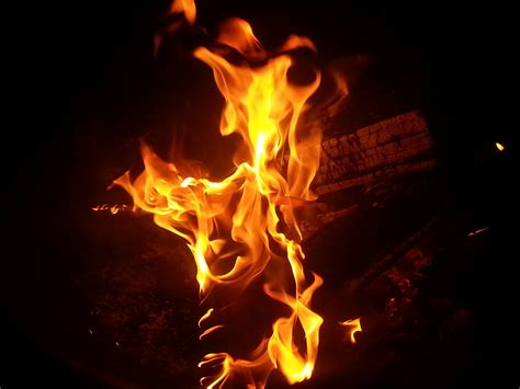 Free Images Warm Flame Fire Firewood Campfire Bonfire Heat
