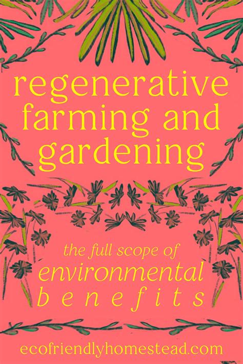 Regenerative Agriculture Explained The Full Picture And Benefits