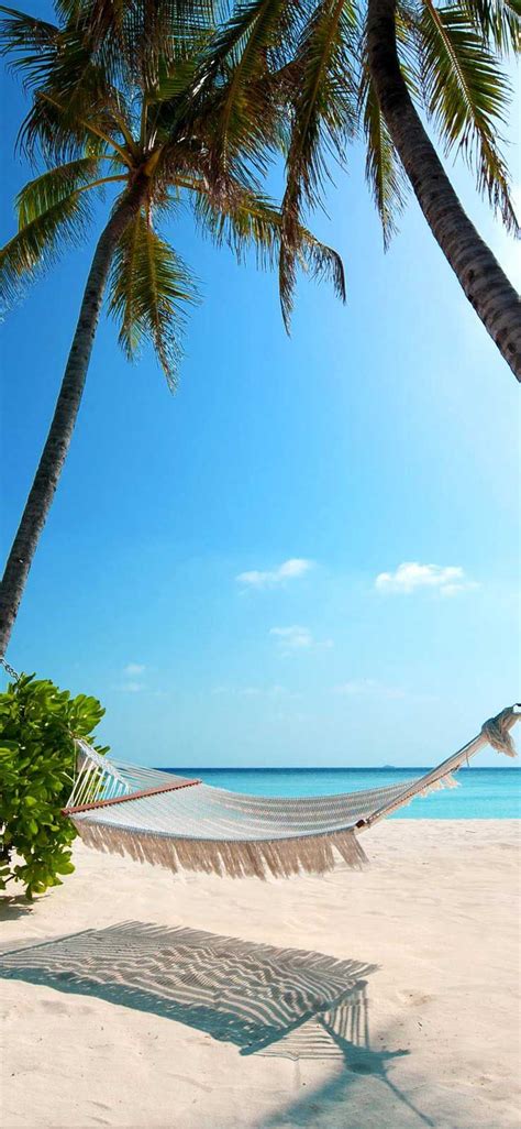 Iphone Wallpaper Tropical Beach Beach Resorts Maldives Palm Trees Hd Hd