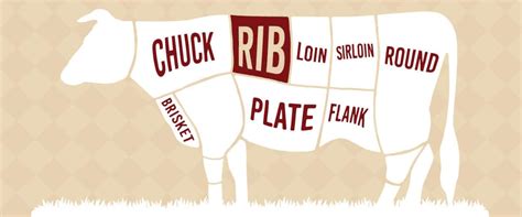Which primal cut does the rib eye steak come from. Porterhouse vs Ribeye: What's the Difference and Which is ...