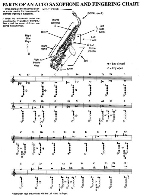 Free Parts Of An Alto Saxophone And Fingering Chart Pdf 1033kb 1