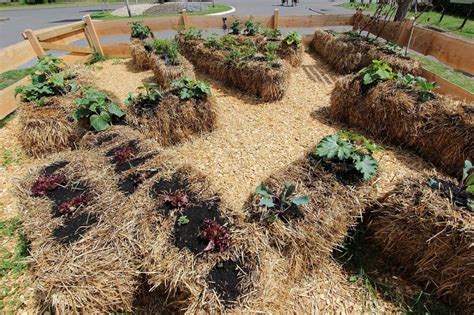 Recyclable Rockery How To Start A Straw Bale Garden The Garden