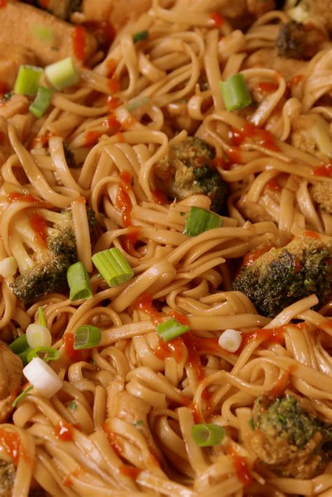 By all means, toss 'em in too. Best Chicken and Broccoli Noodles Recipe-How To Make ...