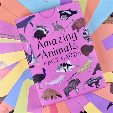 Amazing Animal Fact Cards Set 2 Animal Facts Unusual Animals