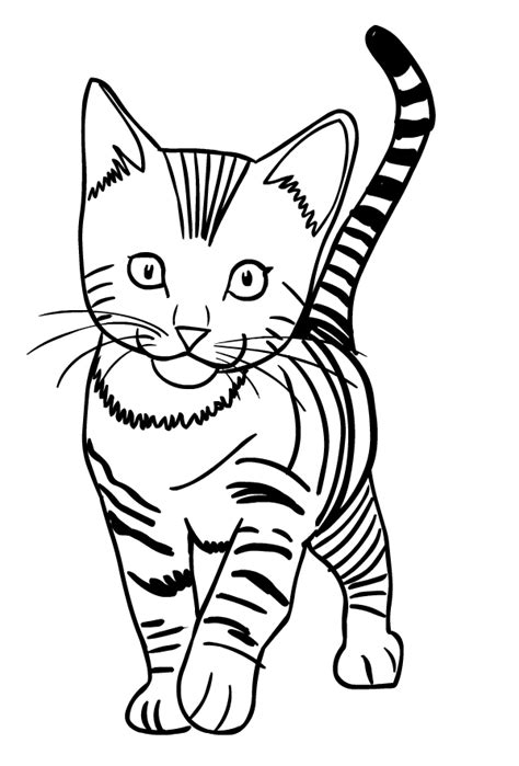 Ausmalbilder Katzen Zum Ausdrucken Kostenlos - Malvorlagen