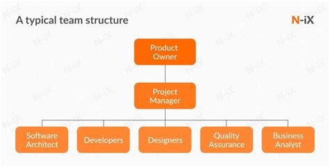 Software Development Team Roles