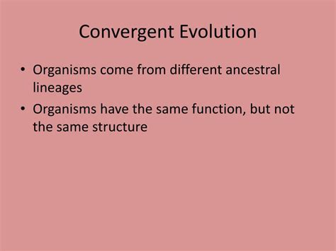 Ppt Convergent And Divergent Evolution Powerpoint Presentation Free