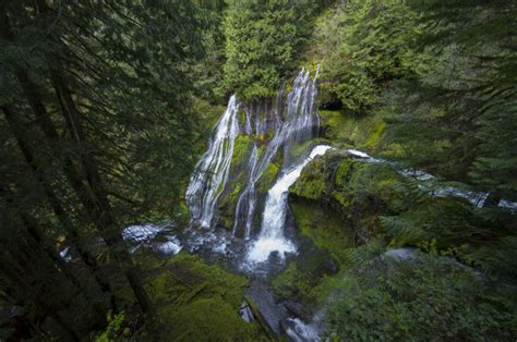 10 Panther Creek Falls You Can Find This 130 Foot Waterfall In The