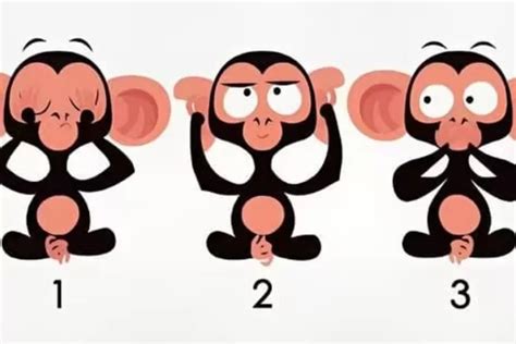 Tes Kepribadian Pilih Reaksi Monyet Yang Disukai Dalam Gambar Akan