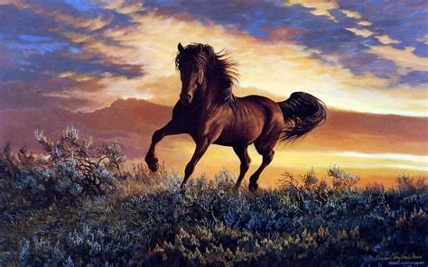 Hình Nền Về Ngựa đẹp Nhất Top Những Hình Ảnh Đẹp