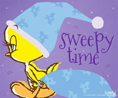 239 Best Images About Tweety On Pinterest Happy Birthday Wishes