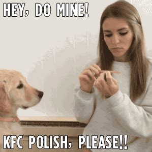 Does it seem like your cat is shedding so much that you could pick up her fur and knit yourself a sweater? Thanks KFC now my dogs want their nails done! in 2020 ...