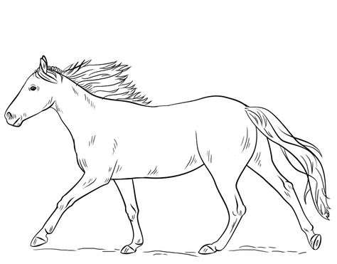 Running Horse Coloring Pages