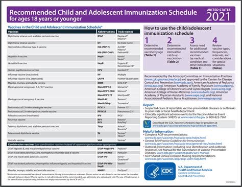 Immunization Schedule St Petersburg Pediatrics