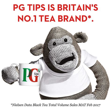 480 Pg Tips Black Tea Pyramid Tea Bags 240 Count Box Pack Of 2 From