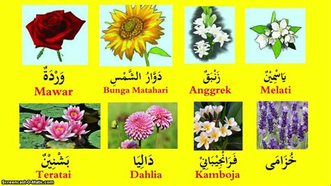 السماء الزهرة Nama Nama Bunga dalam Bahasa Arab Oleh Ustadz