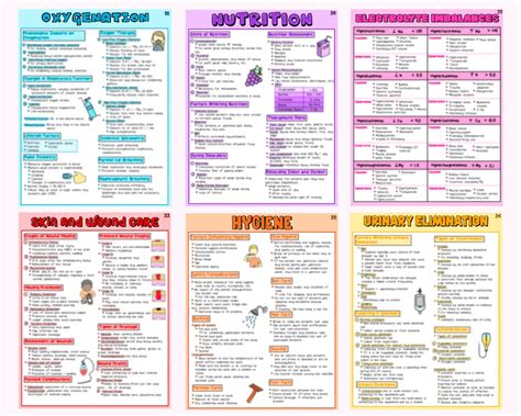 Nursing Fundamentals Study Guide Nursing Notes Etsy