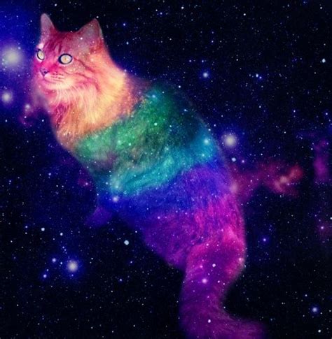 Galaxy Space Cat Cat Painting Rainbow Cat