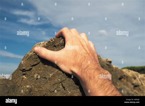 Gripping Arm Hi Res Stock Photography And Images Alamy