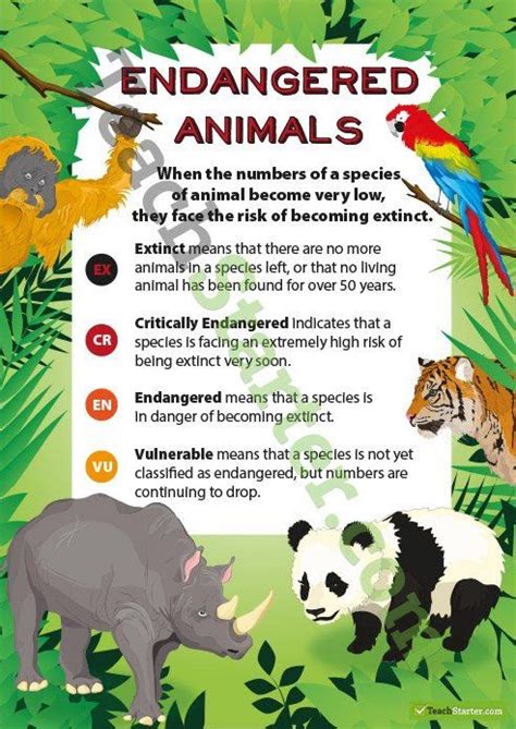 Top 5 Endangered Species Of Animals